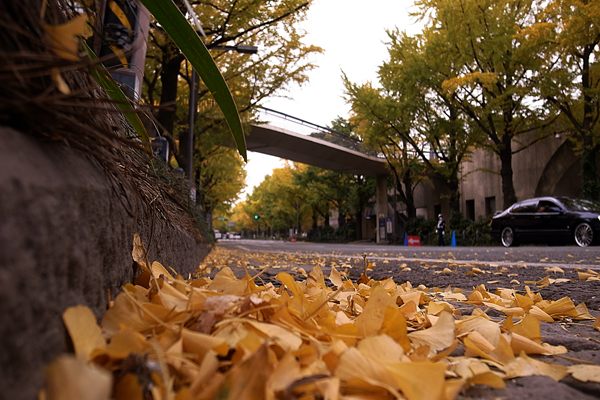 101113 k1 RIMG3925.jpg